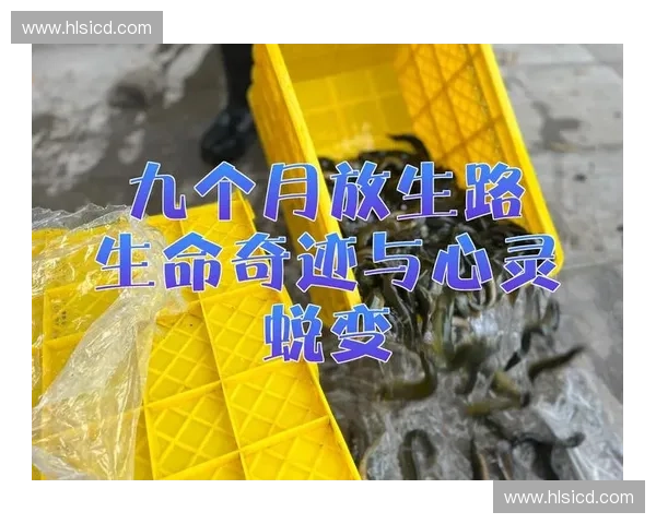 漂流人生的奇幻旅程与心灵蜕变探索之旅